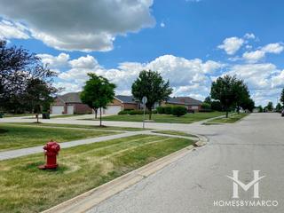 Crystal Cove subdivision in New Lenox, IL