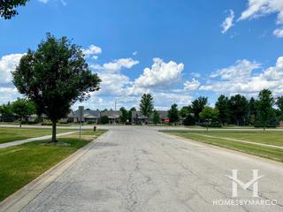 Crystal Cove subdivision in New Lenox, IL