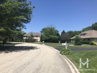 Meadows Edge subdivision in Homer Glen, IL