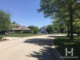 Meadows Edge subdivision in Homer Glen, IL