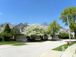 Willoughby South subdivision in Algonquin, IL