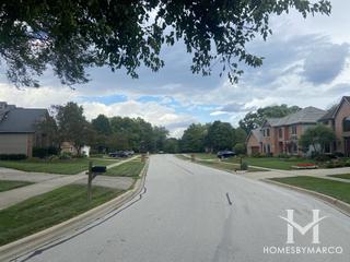 Steeple Chase subdivision in Naperville, IL