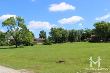 Meadow Woods subdivision in Libertyville, IL