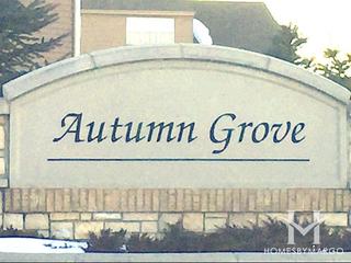 Autumn Grove