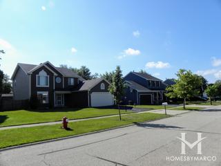 The Meadows subdivision in Streamwood, IL