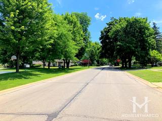 Mundelein Station subdivision in Mundelein, IL