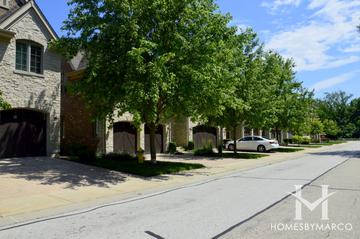 Photos of River Glen subdivision in Vernon Hills, IL