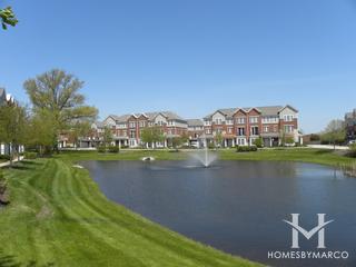 Arlington Reserve subdivision in Arlington Heights, IL