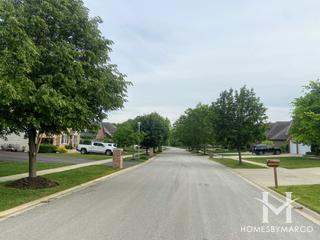 Greens of Villa Olivia