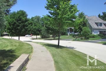 Prairie Hill Farm subdivision in Cary, IL