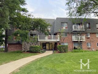 The Terrace of Elk Grove Village building in Elk Grove Village, IL