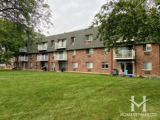 The Terrace of Elk Grove Village building in Elk Grove Village, IL