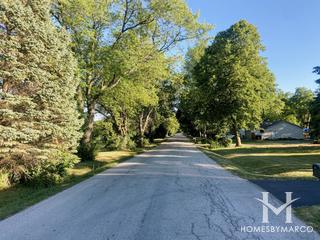 Spojnia subdivision in McHenry, IL