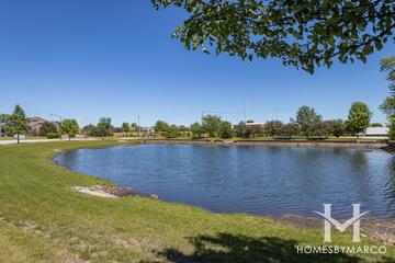 Neudearborn Station subdivision in Naperville, IL