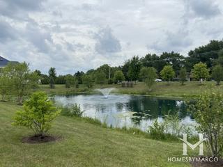 The Paddocks subdivision in Naperville, IL