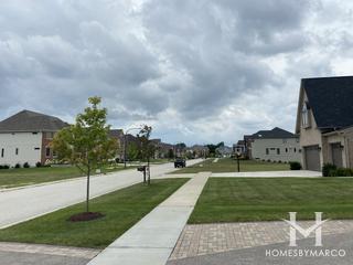 The Paddocks subdivision in Naperville, IL