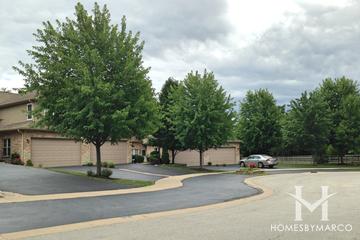 Arboretum Glen subdivision in Lisle, IL