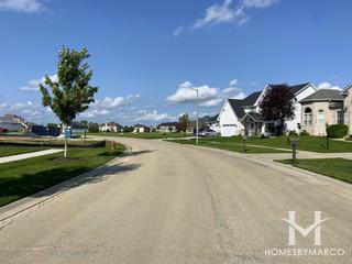 Stewart Ridge subdivision in Plainfield, IL