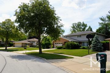 Spring Park Estates subdivision in Downers Grove, IL