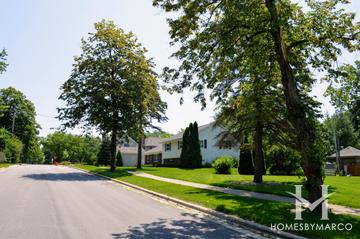 McIntosh subdivision in Downers Grove, IL