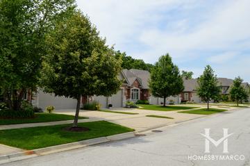 Villas of Maple Woods subdivision in Downers Grove, IL