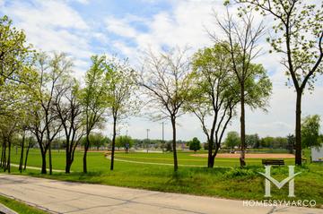 Wellsmere Heights subdivision in Wauconda, IL