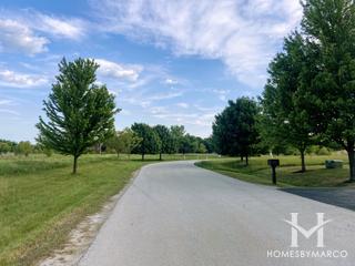 Savanna Fields subdivision in Wadsworth, IL