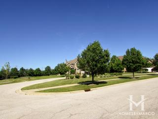 Misty Falls subdivision in Frankfort, IL