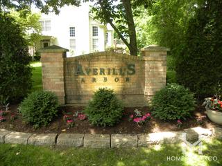 Averills Arbor