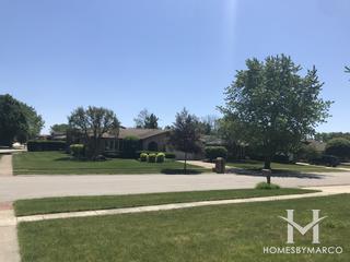 Pheasant Hollow South subdivision in Homer Glen, IL