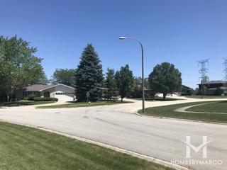 Pheasant Hollow South subdivision in Homer Glen, IL