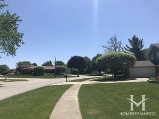 Pheasant Hollow South subdivision in Homer Glen, IL