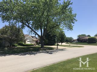 Pheasant Hollow South subdivision in Homer Glen, IL