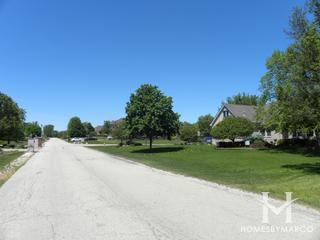 Stadtler Ridge Estates subdivision in Homer Glen, IL