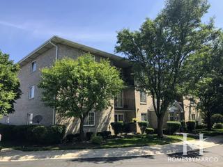 Homer Park Place Condos subdivision in Homer Glen, IL
