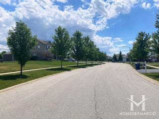 Sanctuary Pointe subdivision in New Lenox, IL