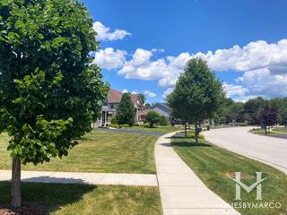 Sanctuary Pointe subdivision in New Lenox, IL