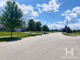 Sanctuary Pointe subdivision in New Lenox, IL