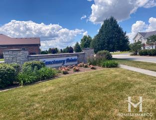 Sanctuary Pointe subdivision in New Lenox, IL
