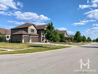 Waters Chase subdivision in New Lenox, IL