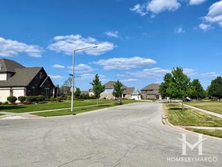 Waters Chase subdivision in New Lenox, IL