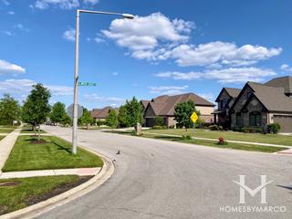 Waters Chase subdivision in New Lenox, IL