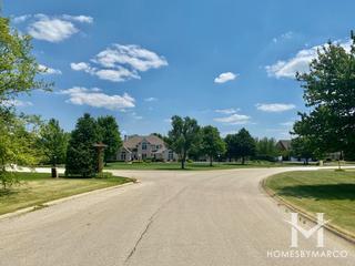 Chessington Grove East subdivision in New Lenox, IL