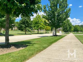 Green Glen Estates subdivision in New Lenox, IL