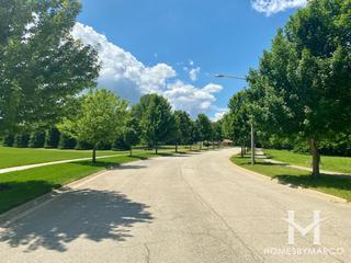 Green Glen Estates subdivision in New Lenox, IL