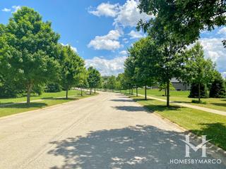 Green Glen Estates subdivision in New Lenox, IL