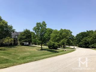 Na-au-say Woods subdivision in Oswego, IL