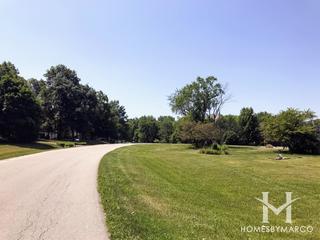 Na-au-say Woods subdivision in Oswego, IL