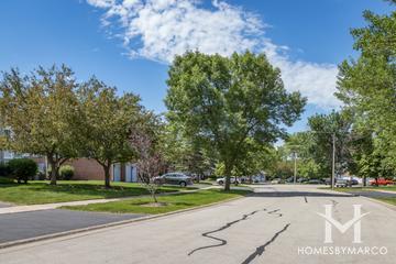 Brookdale Manor subdivision in Naperville, IL