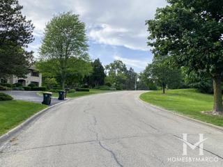 Devon Woods subdivision in Burr Ridge, IL